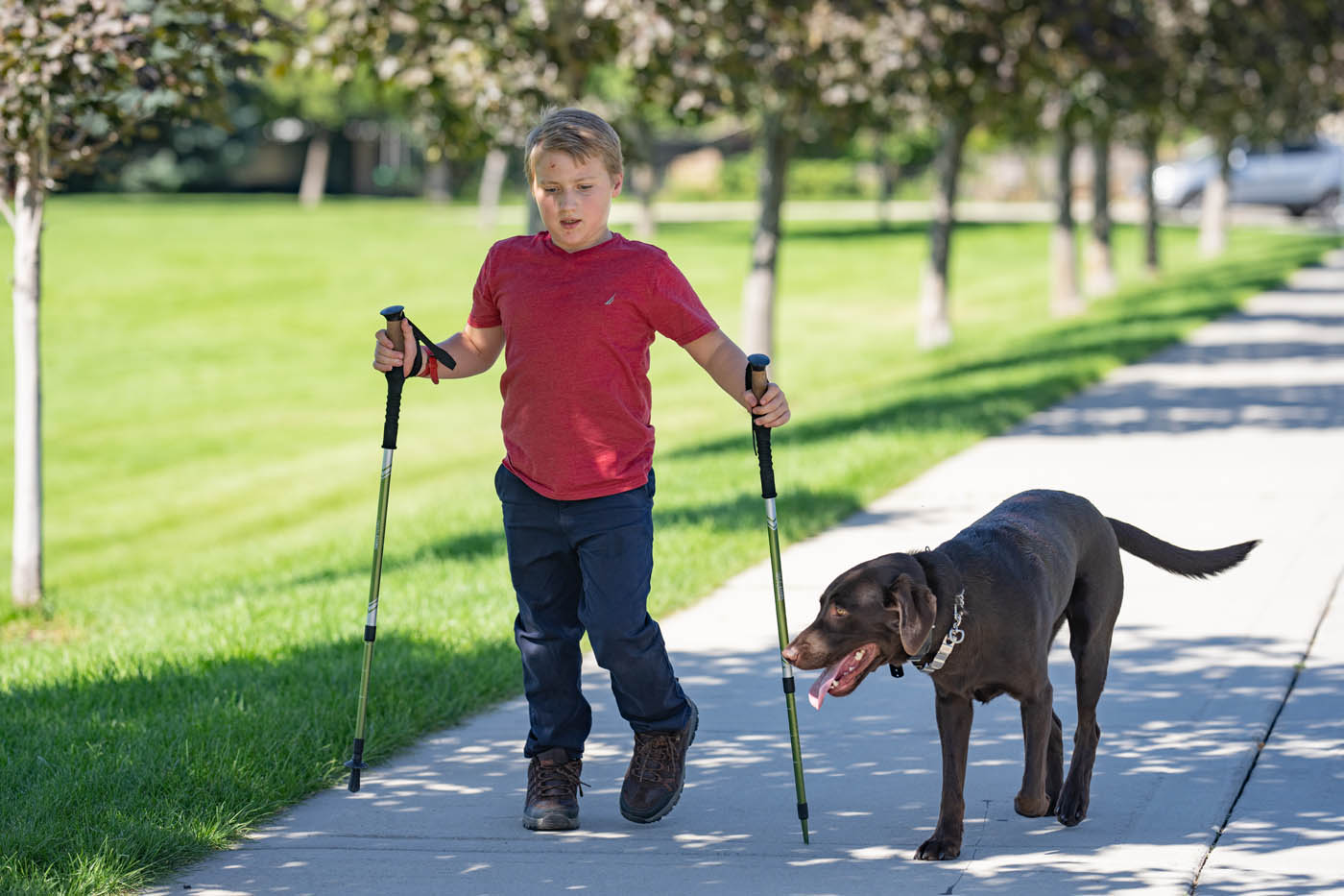 A boy walking with his mobility support service dog - find professional training with Dog Training Elite.