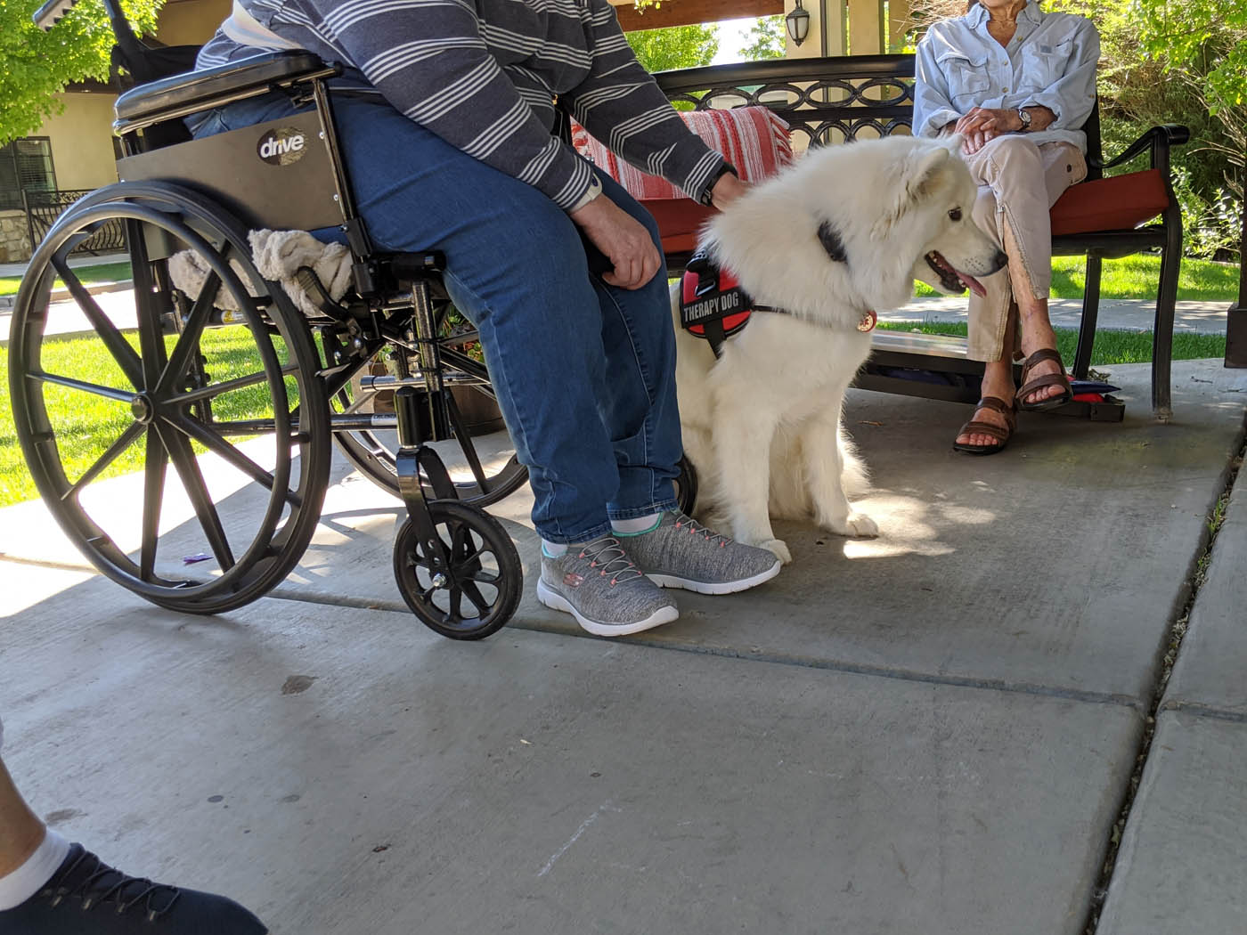 A mobility support service dog and their owner - choose Dog Training Elite for professional mobility service dog training in Baltimore / Towson , MD.