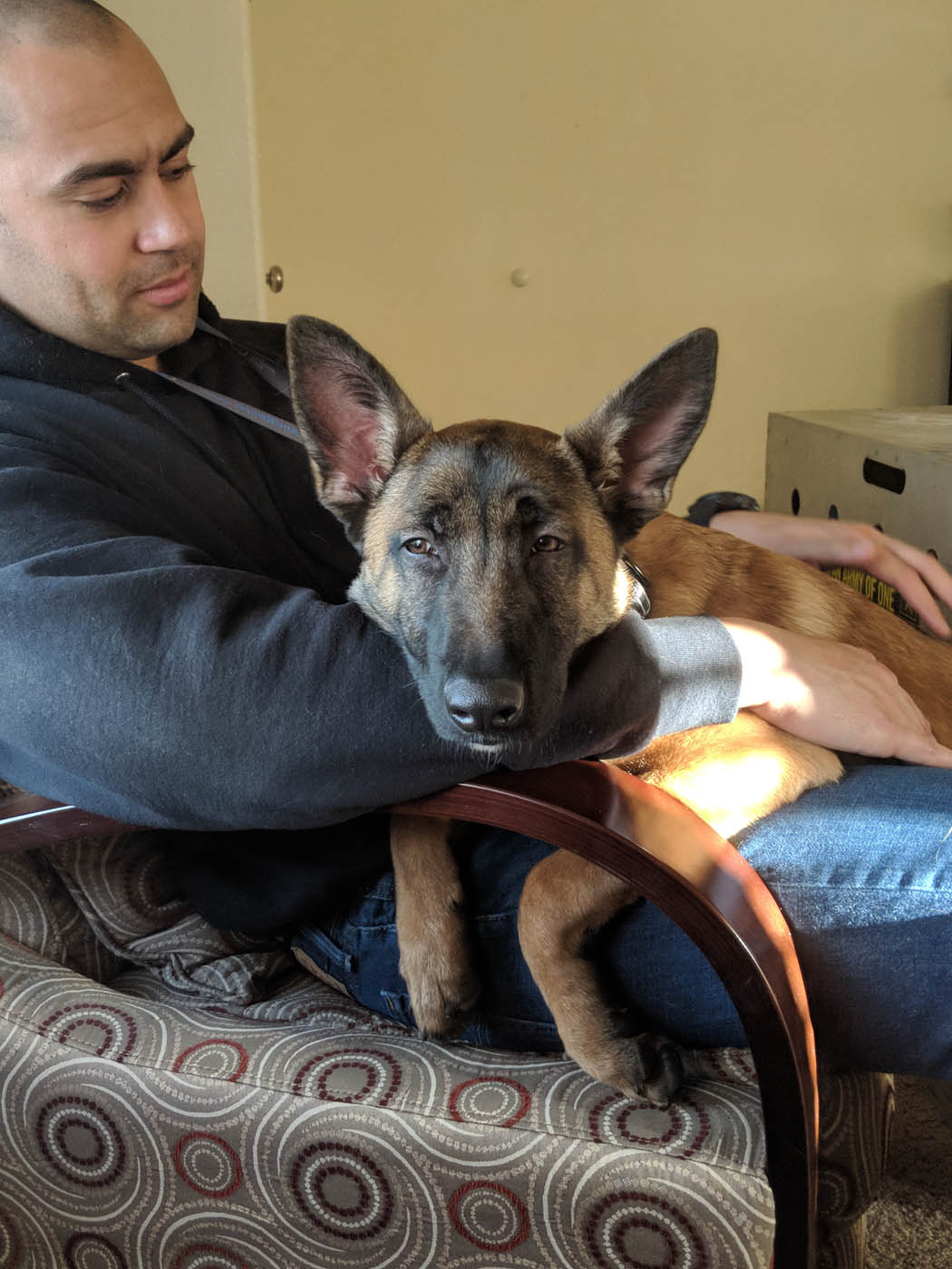 A man and his support service dog - learn more about our positive training methods at Dog Training Elite.