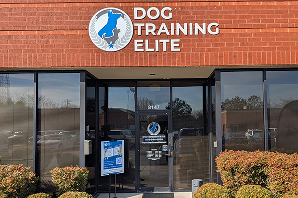 Dog Training Elite Richmond