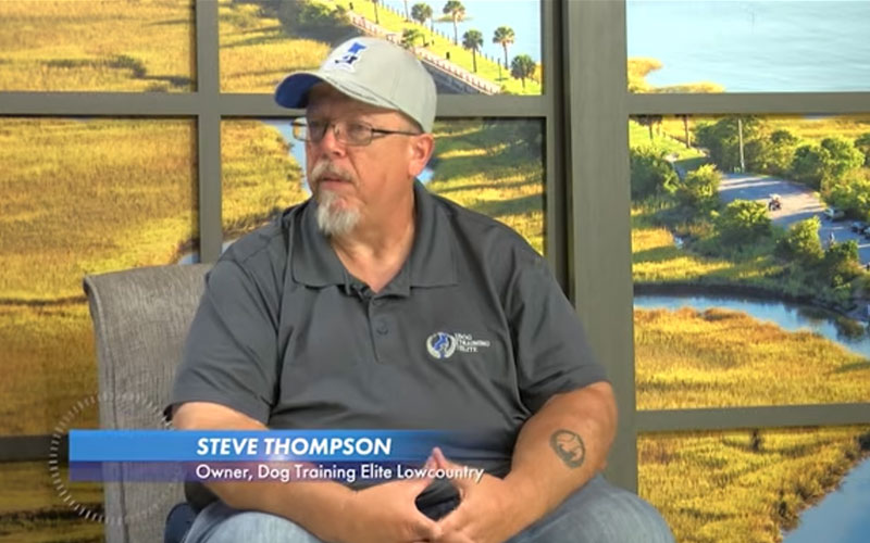 Steve Thompson, owner of Dog Training Elite Lowcountry on WTAT-TV 