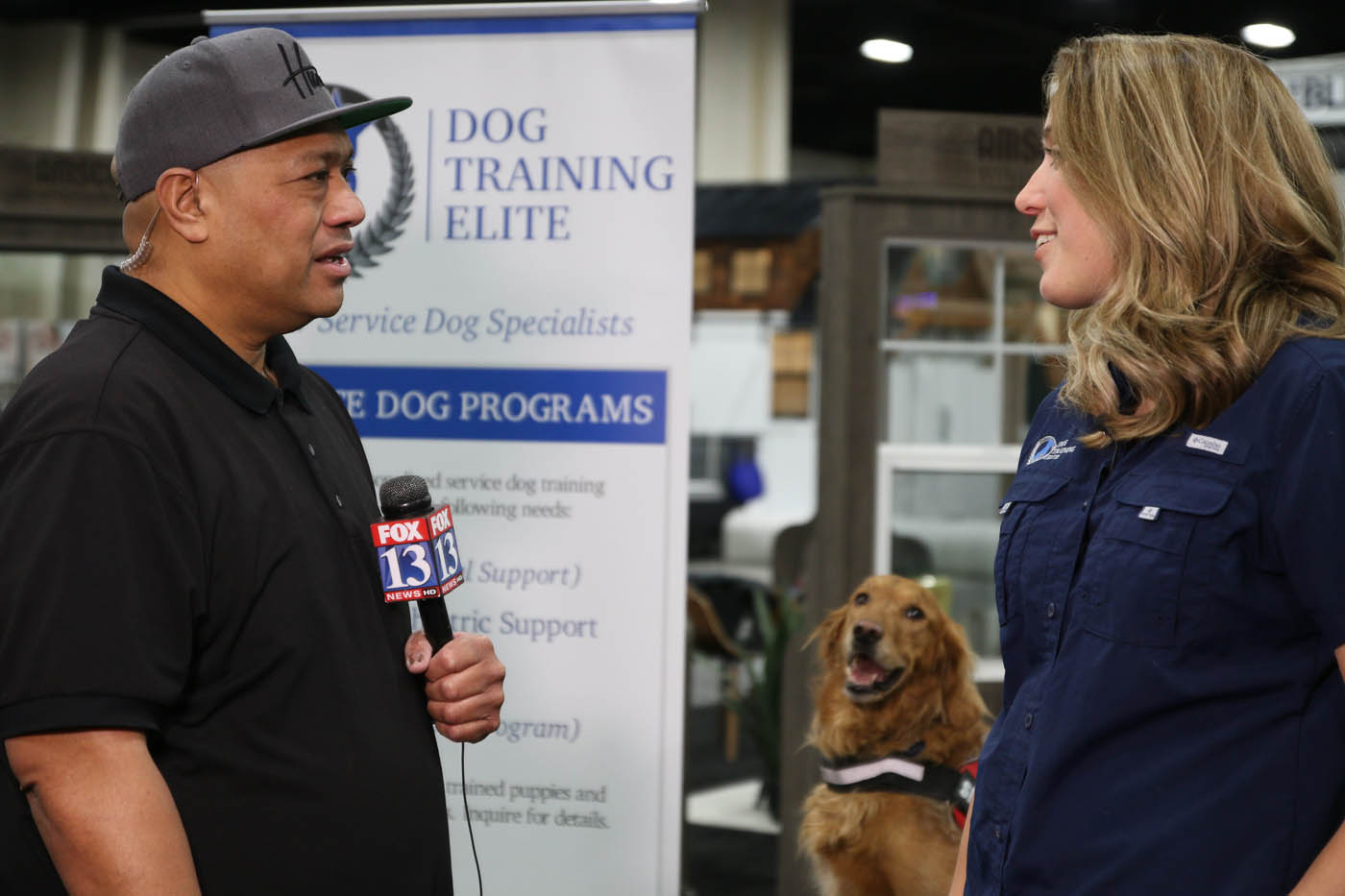 Dog Training Elite - Local Dog Trainers. DTE