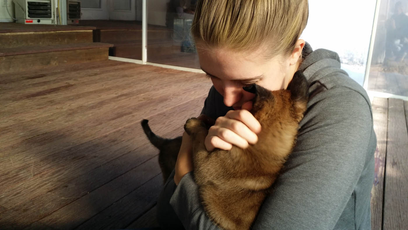 A Cleveland puppy trainers giving a puppy positive affirmation during an in-home training session.