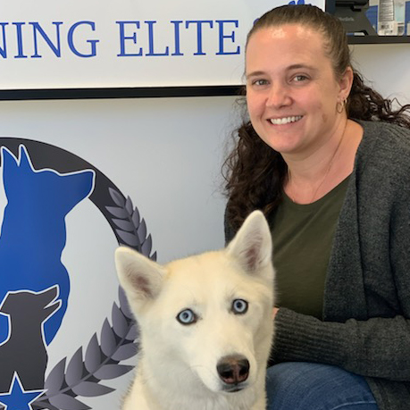 This Dog Training Elite owner and her beautiful, white pup enjoy the benefits of Dog Training Elite.