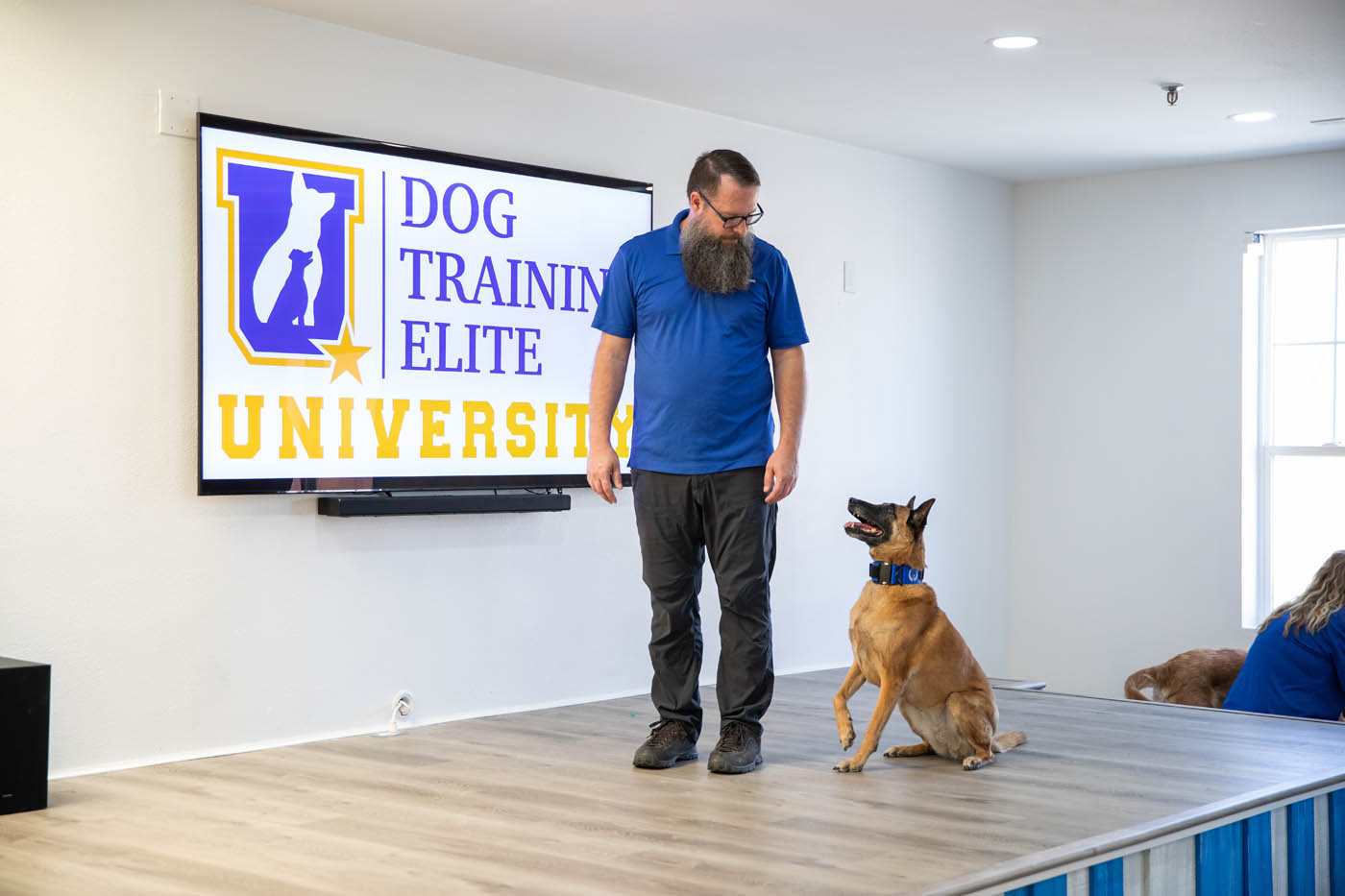 A DTE trainer and german shepherd at a show demo - learn exactly why we offer the best in-home dog training in Cleveland, OH.