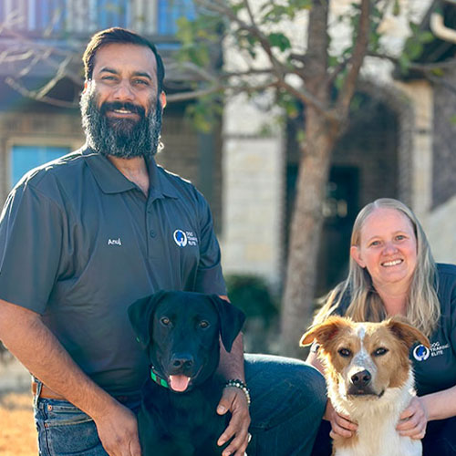 Dog Training Elite Coastal Bend Owners