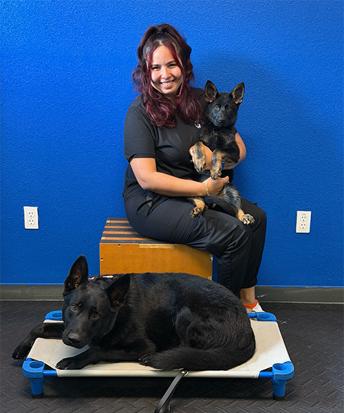 Jasmin - Trainer