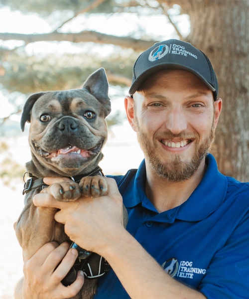 Dan Lutchko - Owner & Trainer