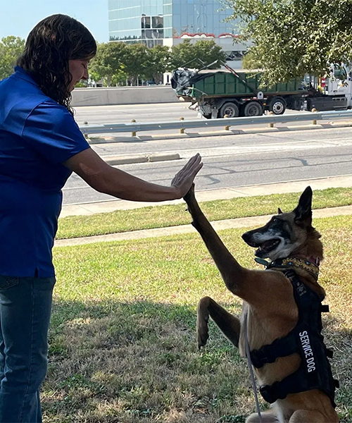 Whitley Cheatham of Dog Training Elite San Antonio educates us on service animals.