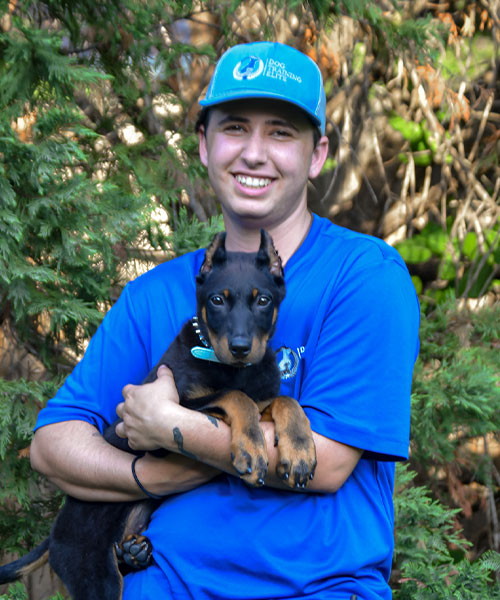 Luke. Dog Trainer in Frisco