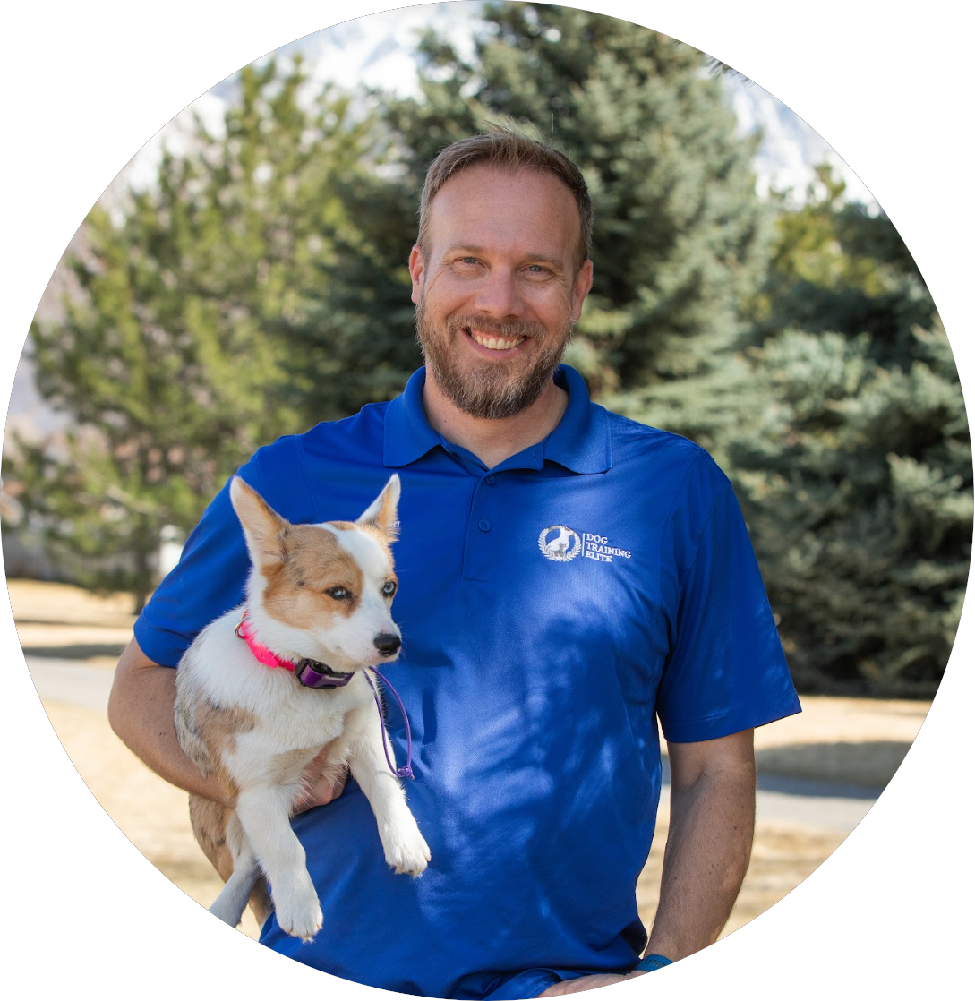Dog Training Elite is the best dog training company to start because of the owner-operator business model.