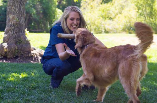 Top Dog Trainers Near Me in Salt Lake City