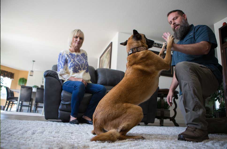 Highest Rated Dog Trainers in Cincinnati