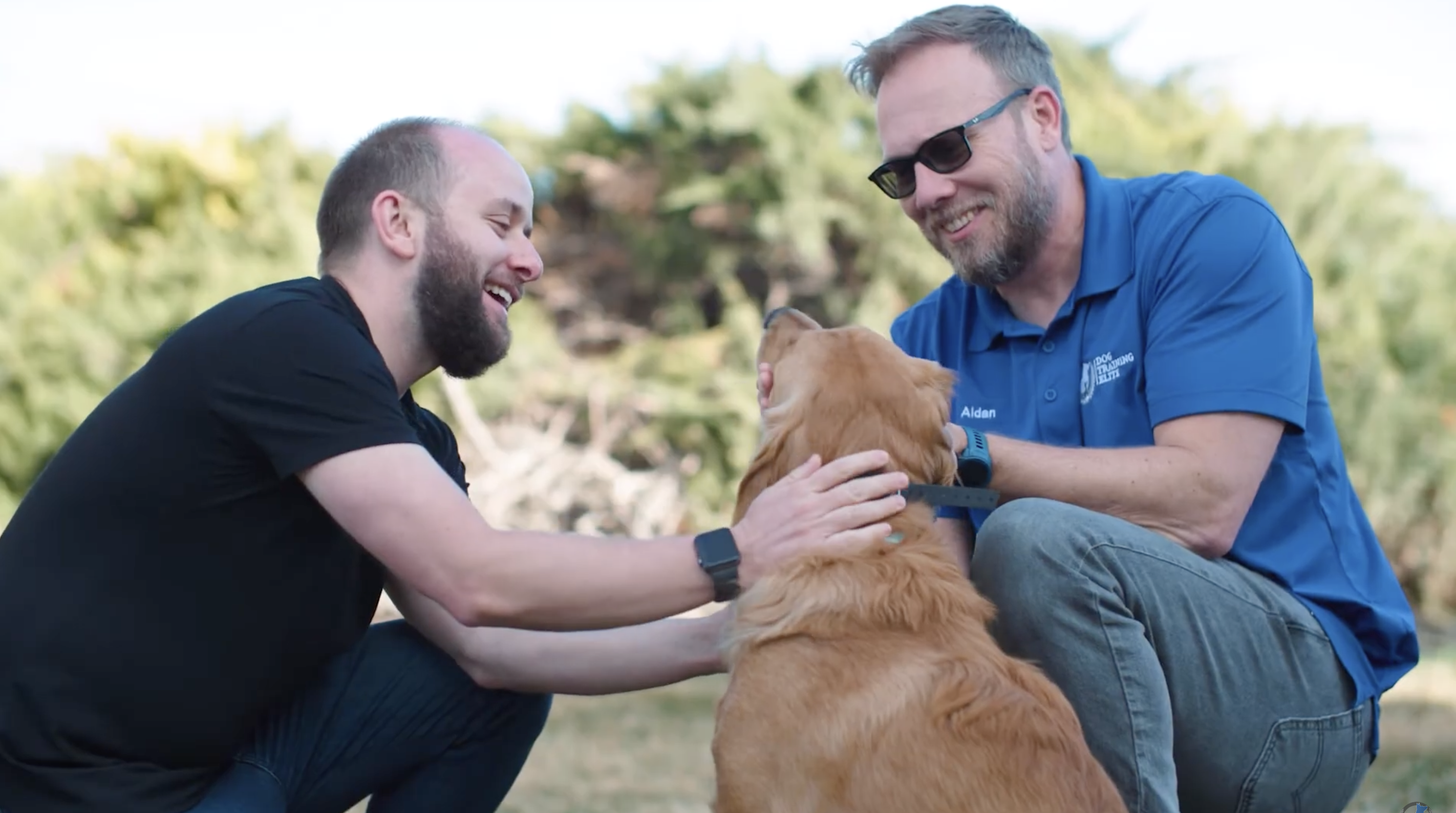 An Dog Training Elite Emerald Coast owner explaining the use of e-collars.