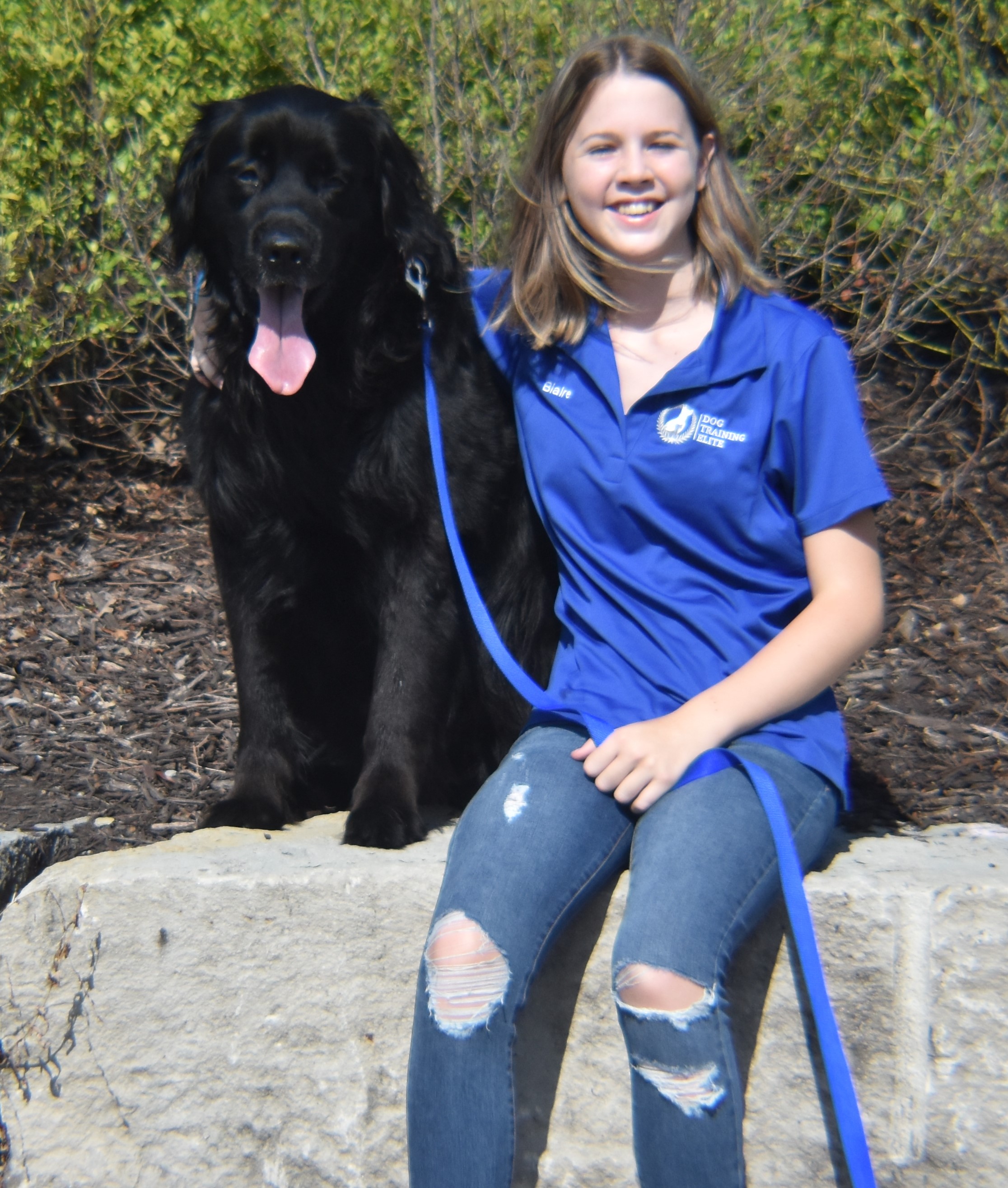 Blaire Borchert. Dog Trainer in Kansas City