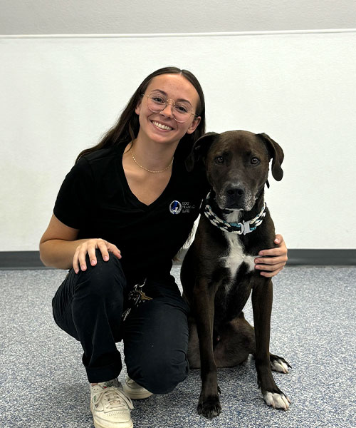 Alexa. Dog Trainer in Glendale / Peoria