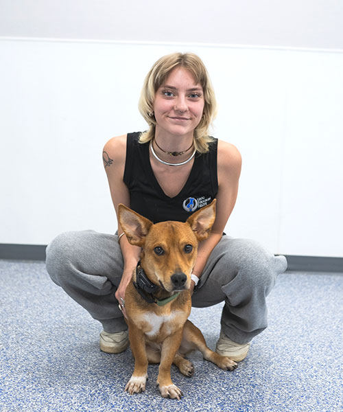 Ashley. Dog Trainer in Scottsdale