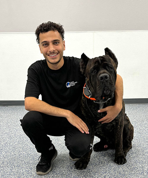 David. Dog Trainer in Glendale / Peoria