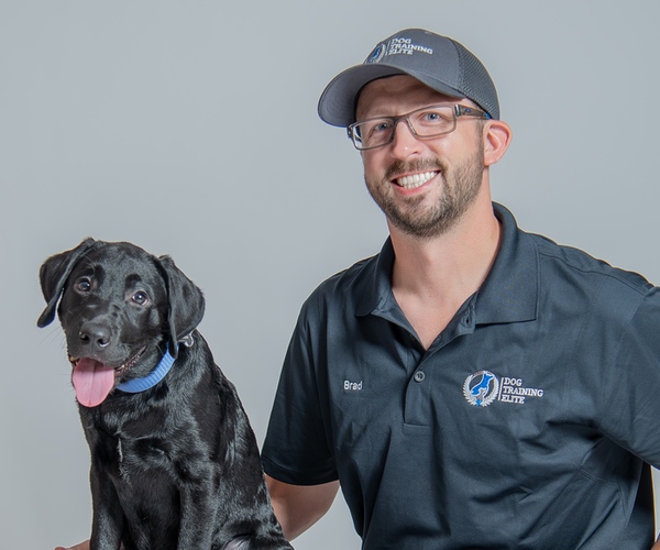 Brad Okeson. Dog Trainer in Hendersonville / Mt. Juliet