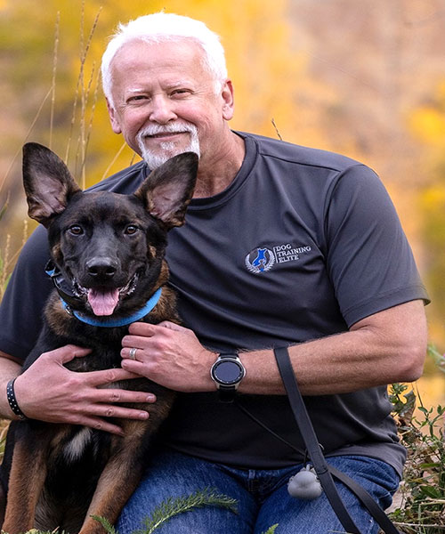 David S. Dog Trainer in Denver