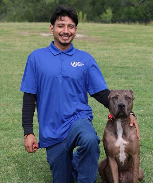 Sergio. Dog Trainer in Houston