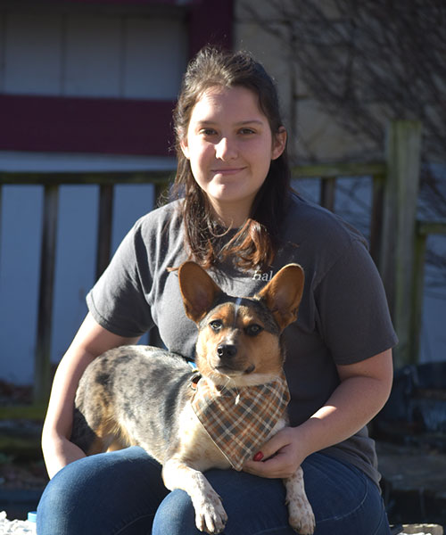 Haley Morrison. Dog Trainer in Kansas City