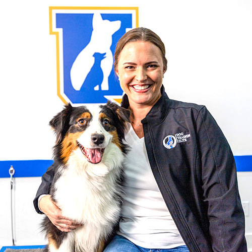 Denise Hall. Dog Trainer in Austin