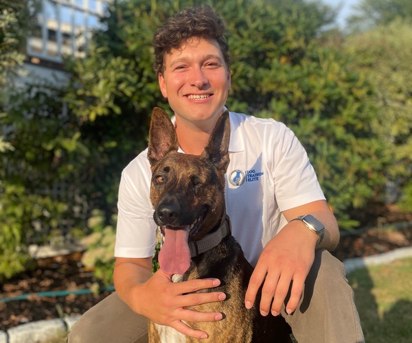 Marcus DiBenedetto. Dog Trainer in Boston