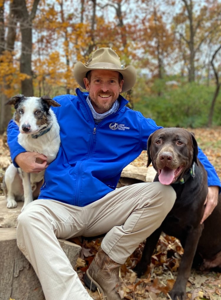 Matt Willis. Dog Trainer in St. Louis