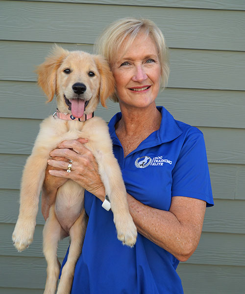 Darlene Collett. Dog Trainer in Columbia