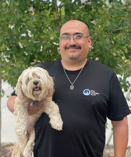 John H.. Dog Trainer in Albuquerque / Santa Fe