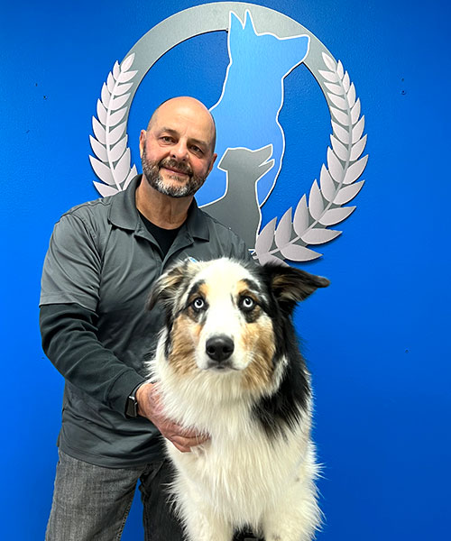 Cesar Roman. Dog Trainer in Miami