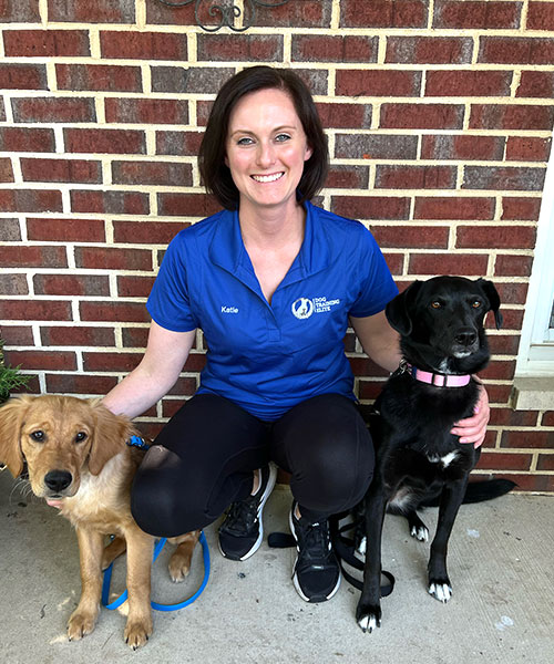 Katie Matt. Dog Trainer in Chicago